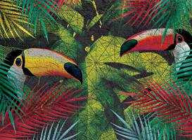 Toucan p