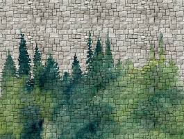 Wall Fantasy