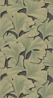 Ginkgo Biloba