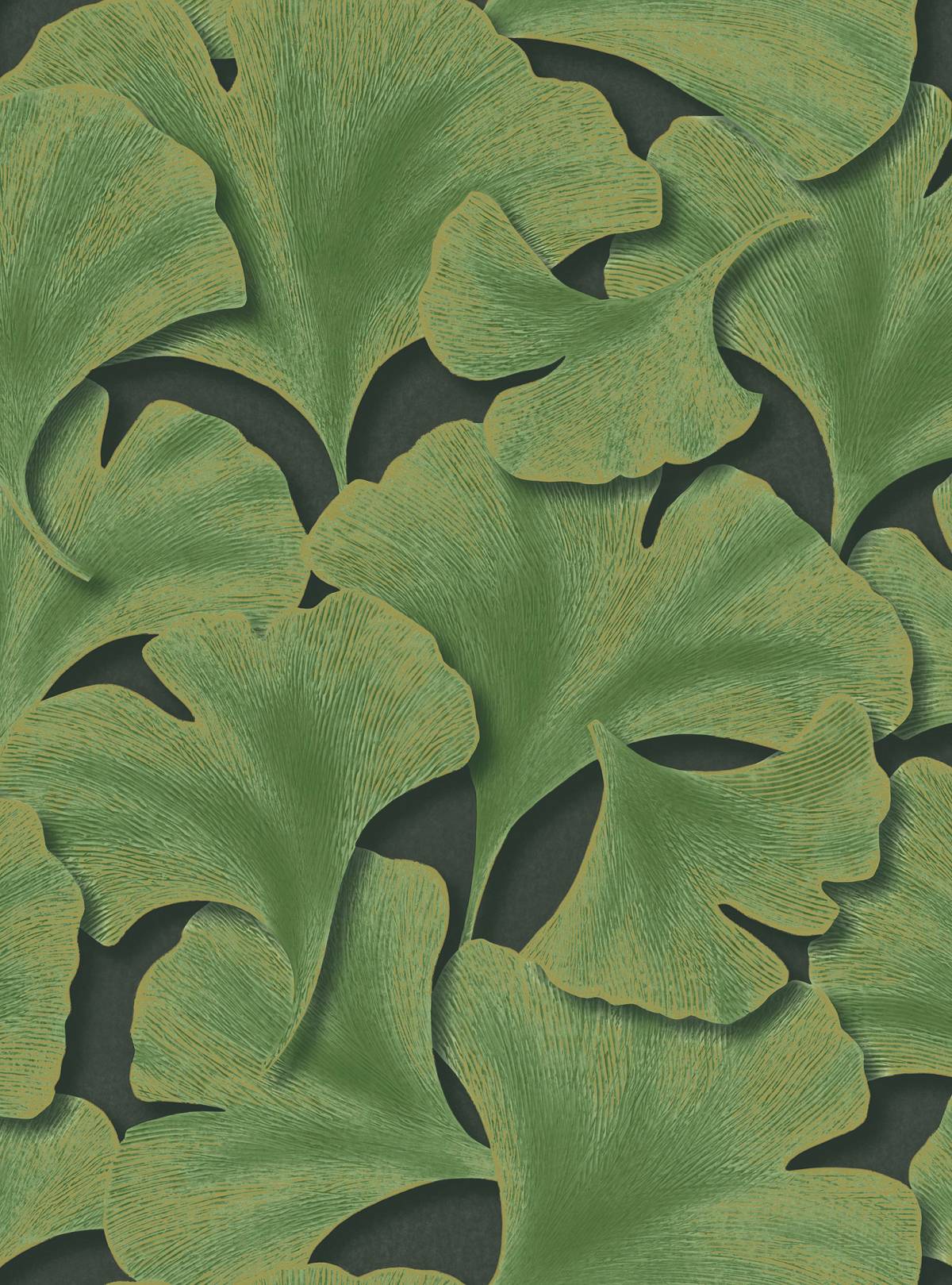 Ginkgo Biloba 53cmx10,05m