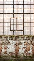 Wall Fantasy Travel