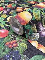 Pompoos Provence