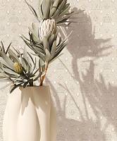 Pompoos Provence