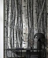 Timber fields & woods