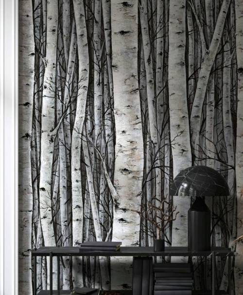 Timber fields & woods